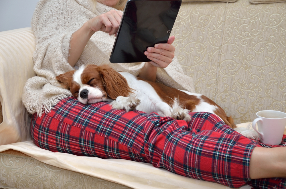 photo-of-woman-pet-sitting-with-dog-on-her-lap-while-she-uses-her-tablet-wearing-red-pijama-pants-on-a-gloomy-day
