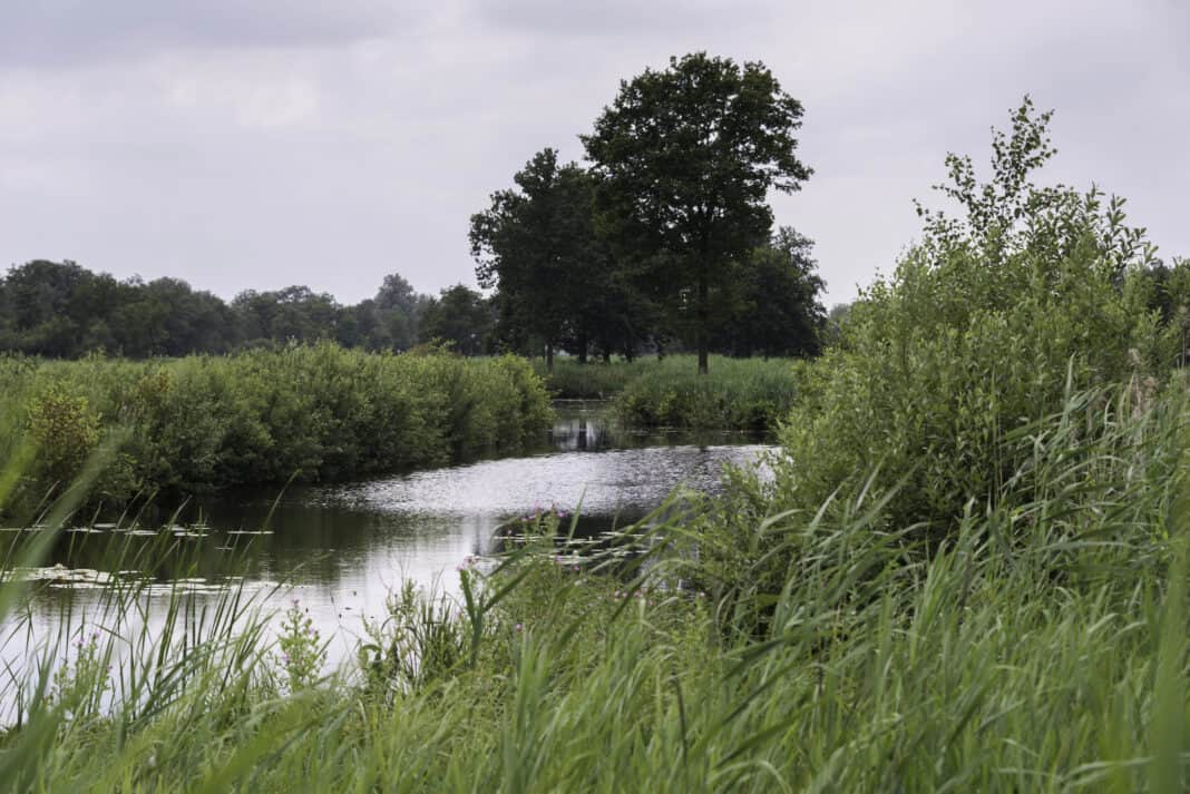 A-small-river-and-trees-in-a-Dutch-grass-field