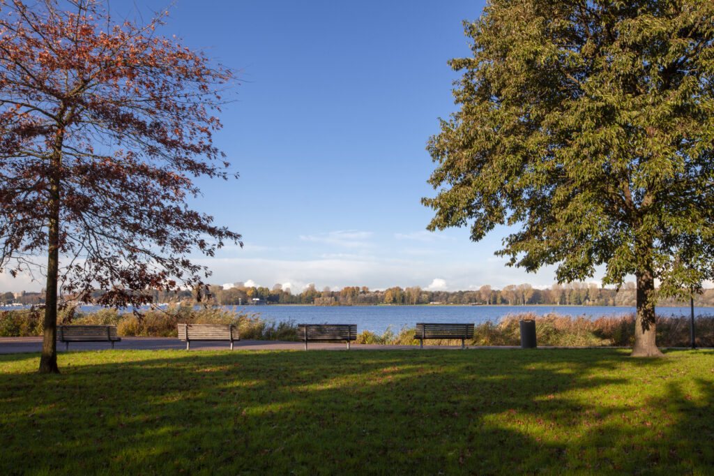 Kralingse-lake-and-forest-in-rotterdam-the-netherlands-a-thing-to-do-when-in-rotterdam
